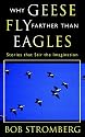 Why Geese Fly Farther Than Eagles