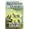 The Best Watership Down Products{ Updated June 3rd 2003!}
