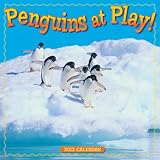 Penguins at Play! 2012 Wall (calendar)