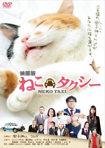 【Amazonの商品情報へ】映画版 ねこタクシー DVD