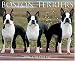 boston_terrier45boston terrier - Just Boston Terriers 2006 16Month Wall Calendar