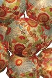 Dahlia Chinese Lantern String Lights 511TbT9vuiL. SL160 Dahlia Chinese Lantern String Lights