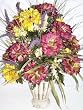 24" Zinnia & Astible Deluxe Flower Arrangement