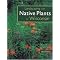 Garden Design Bestsellers II