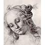 Andrea del Verrocchio (Head of a woman with elaborate hairstyle) Art Poster Print - 13x19