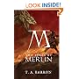 The Fires of Merlin (The Lost Years of Merlin)