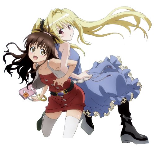 To LOVEる-とらぶる-14巻DVD付予約限定版 (ジャンプコミックス)