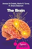 The brain : a beginner's guide