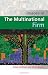 The Multinational Firm (Images of Business Strategy)