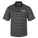 Baltimore Ravens Fan Pride Short Sleeve Striped Polo, Large