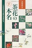 茶花の散歩道 茶花の本名―二つの名をもつ意外な茶花たち
