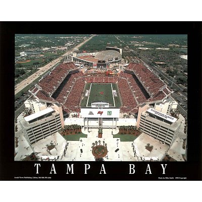 (22x28) Mike Smith Tampa Bay Buccaneers Raymond James Stadium Sports Poster Print