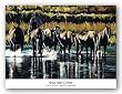 Fall Reflections by Paul Van Ginkel 36"x24" Art Print Poster