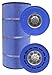 Pleatco Replacement Cartridge for Sta-Rite Posi-Flo II PTM70, T-70TX, T-70TXR, 70GPM-TX, 70TX, 70TXR, Open with 12 Concentric Slots (MICROBAN)