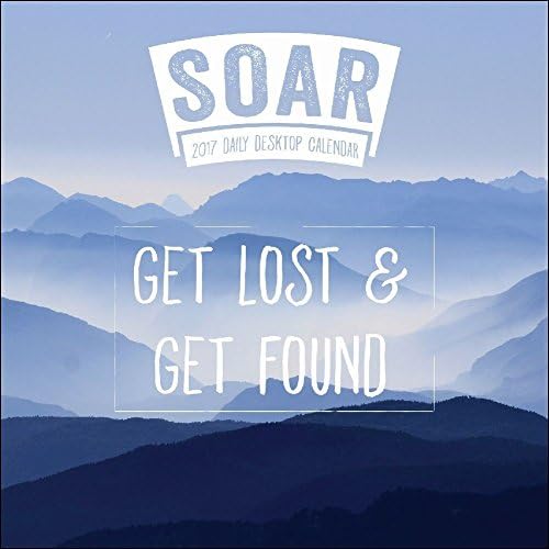 2017 Soar to Success 365 Page-A-day Box / Desk Calendar