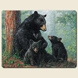 Black Bear Family 8 By10 Small Tempered Glass Cutting Board