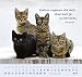 F�r Katzenfreunde 2010