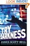 Try Darkness (Ty Buchanan Series, Book 2)