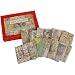 Vintage World maps 24 piece set Cavallini Boxed Magnets Set