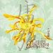 Chinese Traditional Erhu Music 2 picture