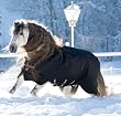Rambo XL w/Leg Arch - Heavy Weight Turnout