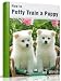 How To Potty Train A Puppy