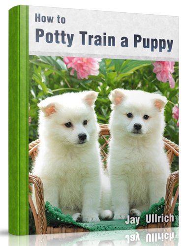 how to potty train a puppy