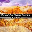 Pickin' on Garth Brooks