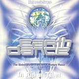Earthdance - The Global Dance Party For Planetary Peace (In Aid of Tibet) [RARE]