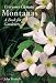 Everyone's Clematis - The Montanas: A Book for Gardeners