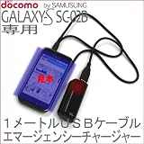 ギャラクシーS SC-02B USBケーブルと単三電池充電器 バッテリーチャージャー
