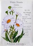 Daisy Seeds Alaska Blend