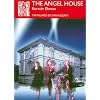 The Angel House (Series B: English Translations of Works of Scandinavian Literature)