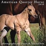 2010 American Quarter Horse Calendar