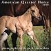2010 American Quarter Horse Calendar