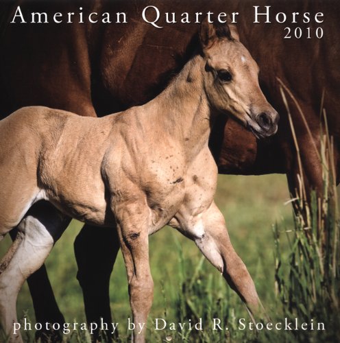 2010 American Quarter Horse Calendar