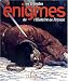 Les grandes enigmes de l'Histoire de France