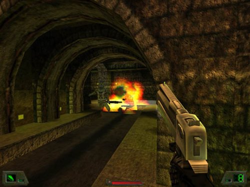 Soldier of Fortune (Linux)