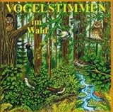 Vogelstimmen im Wald