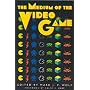 The Medium of the Video Game