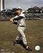 Ted Williams Boston Red Sox 8x10 Photo (Batting Pose)