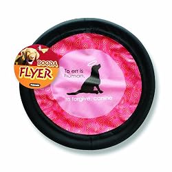Petmate Designer Dog Flyer To Err Is Human, To Forgive Canine