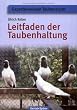 tauben