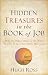 Hidden Treasures in the Book of Job: How the Oldest Book in the Bible Answers Today's Scientific Questions
