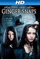 play video on Amazon Instant Video