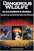 Dangerous Wildlife in California & Nevada: A Guide to Safe Encounters At Home and in the Wild