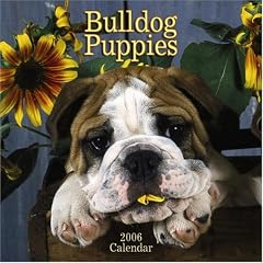 Bulldog Puppies 2006 Calendar
