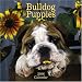 Bulldog Puppies 2006 Calendar