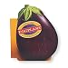 Totally Eggplant Cookbook (Totally Cookbooks)