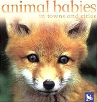 Animal Babies in Towns and Cities
